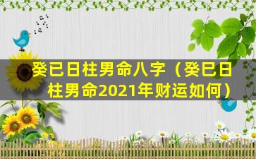 癸已日柱男命八字（癸巳日柱男命2021年财运如何）