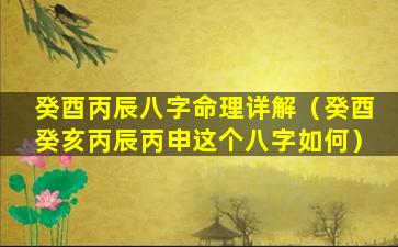 癸酉丙辰八字命理详解（癸酉癸亥丙辰丙申这个八字如何）