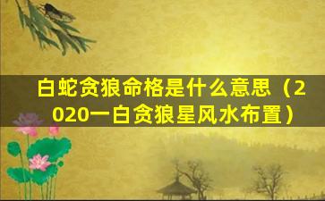 白蛇贪狼命格是什么意思（2020一白贪狼星风水布置）