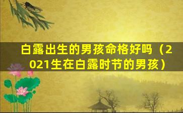 白露出生的男孩命格好吗（2021生在白露时节的男孩）