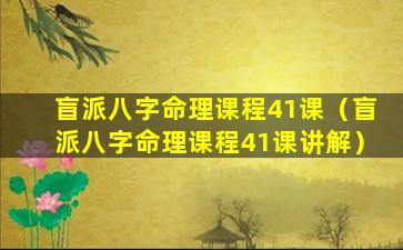 盲派八字命理课程41课（盲派八字命理课程41课讲解）