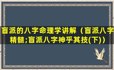 盲派的八字命理学讲解（盲派八字精髓;盲派八字神乎其技(下)）