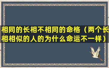 相同的长相不相同的命格（两个长相相似的人的为什么命运不一样）