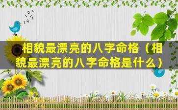 相貌最漂亮的八字命格（相貌最漂亮的八字命格是什么）