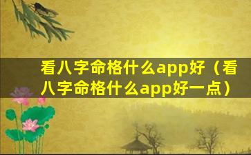 看八字命格什么app好（看八字命格什么app好一点）