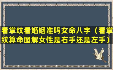 看掌纹看婚姻准吗女命八字（看掌纹算命图解女性是右手还是左手）