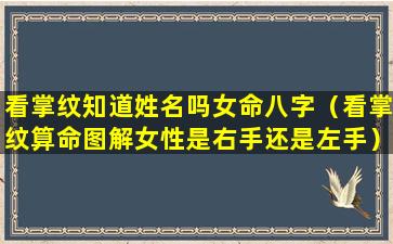 看掌纹知道姓名吗女命八字（看掌纹算命图解女性是右手还是左手）