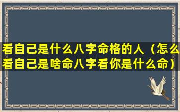 看自己是什么八字命格的人（怎么看自己是啥命八字看你是什么命）