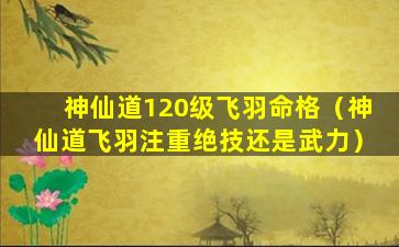 神仙道120级飞羽命格（神仙道飞羽注重绝技还是武力）