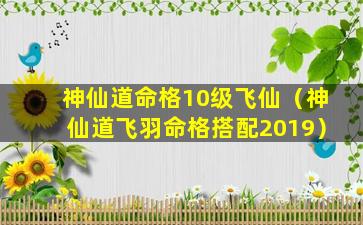 神仙道命格10级飞仙（神仙道飞羽命格搭配2019）