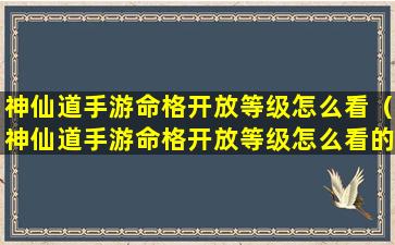 神仙道手游命格开放等级怎么看（神仙道手游命格开放等级怎么看的）