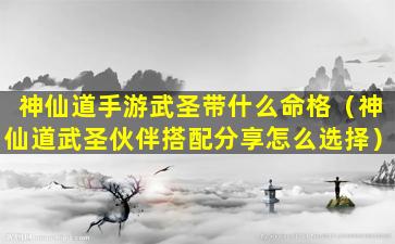 神仙道手游武圣带什么命格（神仙道武圣伙伴搭配分享怎么选择）