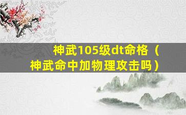 神武105级dt命格（神武命中加物理攻击吗）