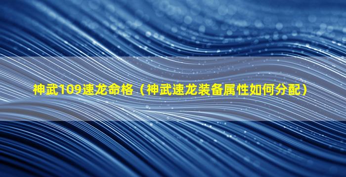 神武109速龙命格（神武速龙装备属性如何分配）