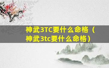 神武3TC要什么命格（神武3tc要什么命格）