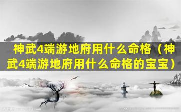 神武4端游地府用什么命格（神武4端游地府用什么命格的宝宝）