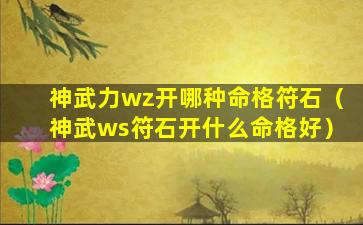 神武力wz开哪种命格符石（神武ws符石开什么命格好）