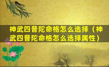 神武四普陀命格怎么选择（神武四普陀命格怎么选择属性）