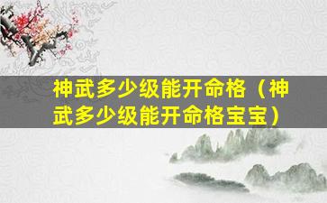 神武多少级能开命格（神武多少级能开命格宝宝）