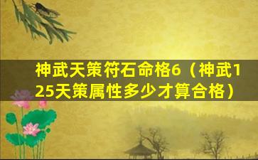 神武天策符石命格6（神武125天策属性多少才算合格）