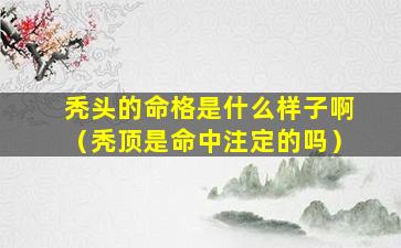 秃头的命格是什么样子啊（秃顶是命中注定的吗）