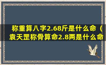 称重算八字2.68斤是什么命（袁天罡称骨算命2.8两是什么命）