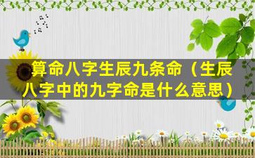 算命八字生辰九条命（生辰八字中的九字命是什么意思）