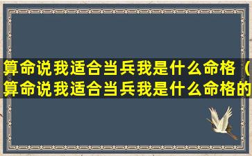 算命说我适合当兵我是什么命格（算命说我适合当兵我是什么命格的人）