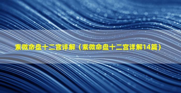 紫微命盘十二宫详解（紫微命盘十二宫详解14篇）