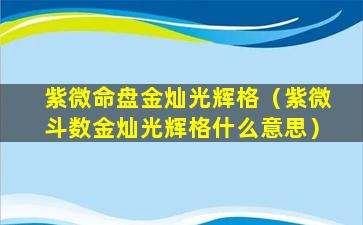 紫微命盘金灿光辉格（紫微斗数金灿光辉格什么意思）