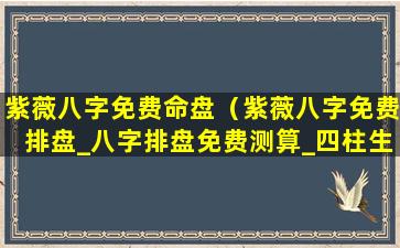 紫薇八字免费命盘（紫薇八字免费排盘_八字排盘免费测算_四柱生辰八字测算）