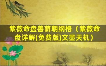 紫薇命盘善荫朝纲格（紫薇命盘详解(免费版)文墨天机）