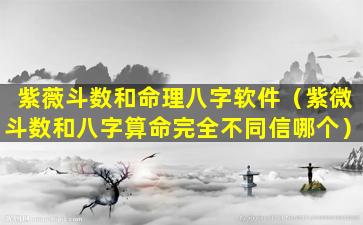 紫薇斗数和命理八字软件（紫微斗数和八字算命完全不同信哪个）