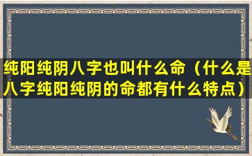 纯阳纯阴八字也叫什么命（什么是八字纯阳纯阴的命都有什么特点）