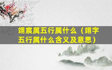 翊宸属五行属什么（翊字五行属什么含义及意思）