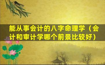 能从事会计的八字命理学（会计和审计学哪个前景比较好）