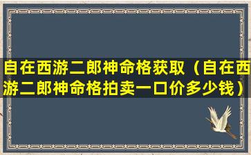 自在西游二郎神命格获取（自在西游二郎神命格拍卖一口价多少钱）