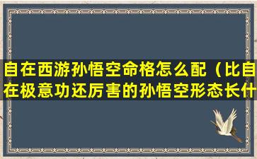 自在西游孙悟空命格怎么配（比自在极意功还厉害的孙悟空形态长什么样）