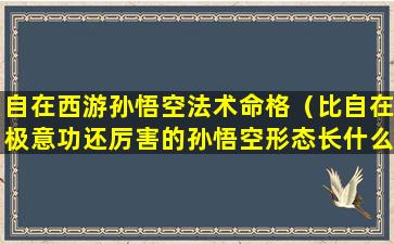 自在西游孙悟空法术命格（比自在极意功还厉害的孙悟空形态长什么样）