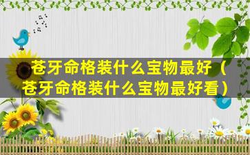 苍牙命格装什么宝物最好（苍牙命格装什么宝物最好看）