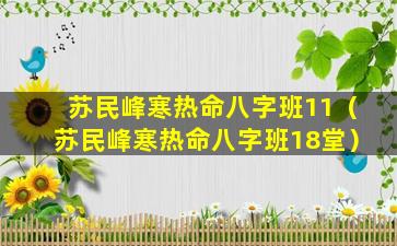 苏民峰寒热命八字班11（苏民峰寒热命八字班18堂）