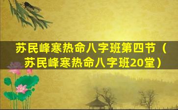 苏民峰寒热命八字班第四节（苏民峰寒热命八字班20堂）