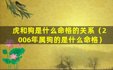 虎和狗是什么命格的关系（2006年属狗的是什么命格）