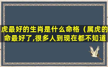 虎最好的生肖是什么命格（属虎的命最好了,很多人到现在都不知道,你是其中一个吗）