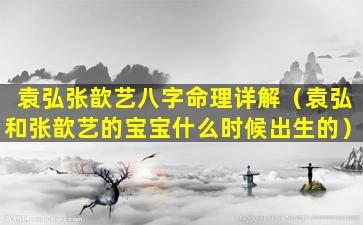 袁弘张歆艺八字命理详解（袁弘和张歆艺的宝宝什么时候出生的）