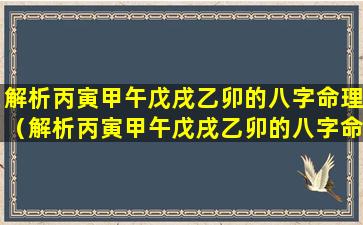 解析丙寅甲午戊戌乙卯的八字命理（解析丙寅甲午戊戌乙卯的八字命理详解）