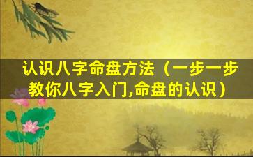 认识八字命盘方法（一步一步教你八字入门,命盘的认识）