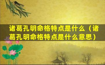 诸葛孔明命格特点是什么（诸葛孔明命格特点是什么意思）