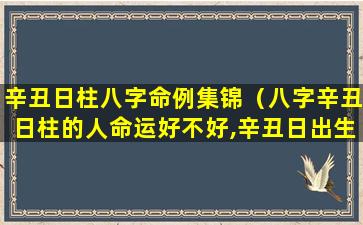 辛丑日柱八字命例集锦（八字辛丑日柱的人命运好不好,辛丑日出生是什么命）