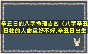 辛丑日的八字命理吉凶（八字辛丑日柱的人命运好不好,辛丑日出生是什么命）